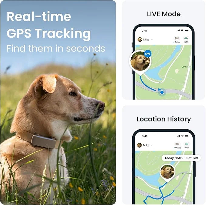 Tractive GPS Dog Tracker (2025 Release with Free 6 Month Subscription) | Real-time Pet Location Tracker | Health & Wellnes...