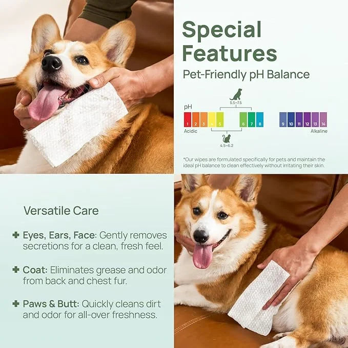 HICC PET Wipes for Dogs & Cats, Cleansing Deodorizing & Soothing Allergy Infections Anal Gland Pets Wipes with Coconut Oil...