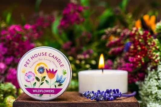 One Fur All Pet House Scents - Sunwashed Cotton 3 Pack Pet Odor Eliminator - Non-Toxic Scented Candle Set - Product Image