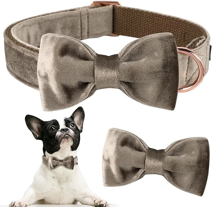 ARING PET Bowtie Dog Collar,Velvet Dog Collars with Detachable Bowtie, Adjustable Bow Tie Collar for Girl and Boy Dogs. - ...