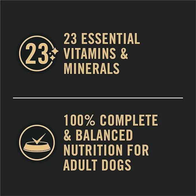 Purina Pro Plan Sensitive Skin and Stomach Dog Food Wet Classic Pate Lamb and Oat Meal Entrée - (Pack of 12) 13 oz. Cans -...