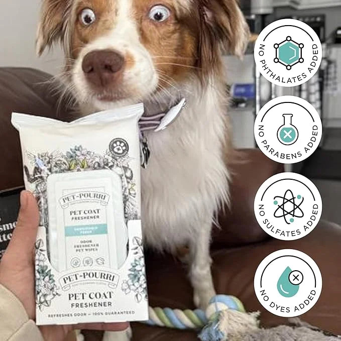 Pet-Pourri Pawsitively Fresh Deodorizing Pet Wipes – Quick Cleaning Wipes for Dogs & Cats – Plant Based Ingredients – Vet ...
