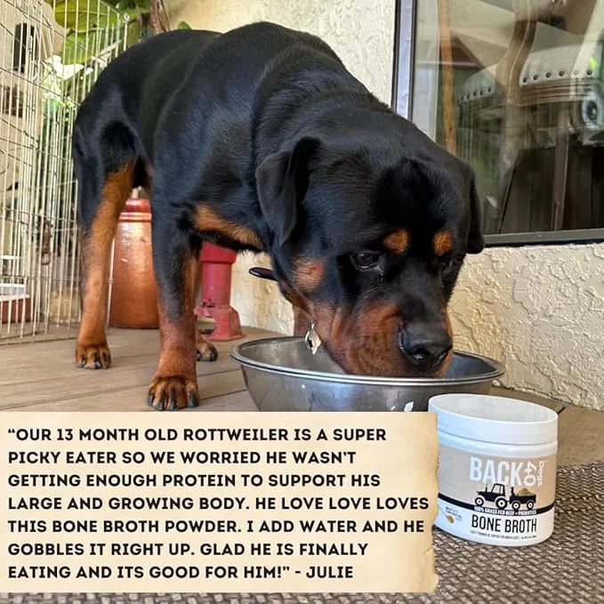 Grass-Fed Beef Bone Broth Powder for Dogs with Probiotics, Chondroitin & Glucosamine – Supports Gut Health, Joint & Immune...