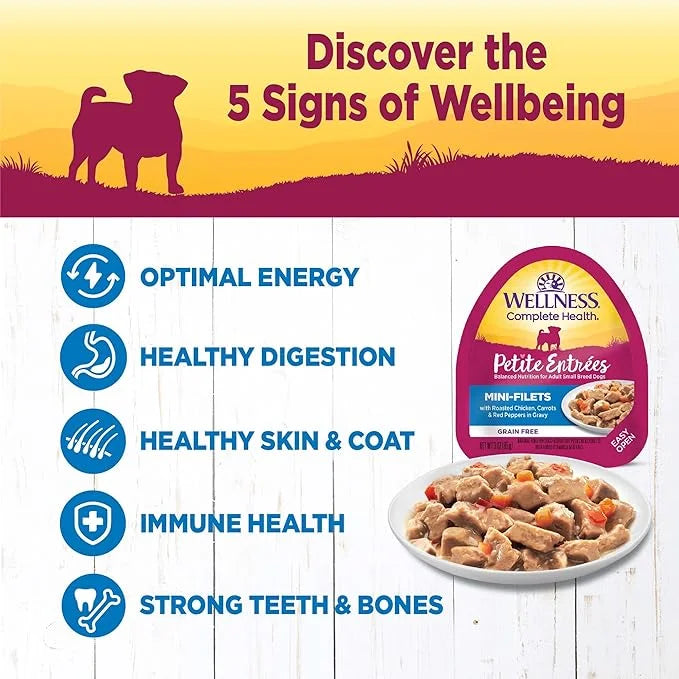 Wellness Natural Pet Food Petite Entrees Mini Fillets Grain Free Natural Wet Small Breed Dog Food, Roasted Chicken, Carrot...