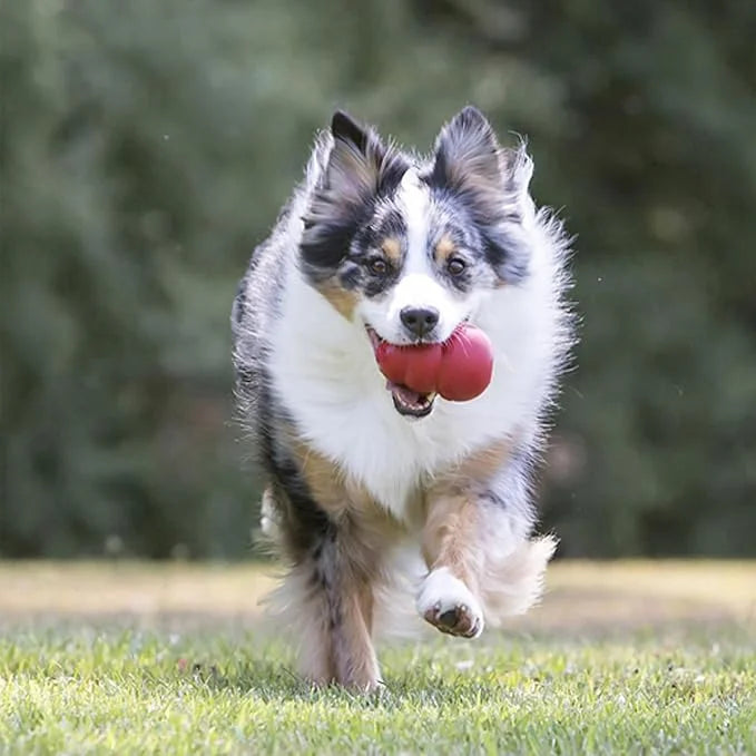 KONG Classic Stuffable Dog Toy - Fetch & Chew Toy for Dogs - Treat-Filling Capabilities & Erratic Bounce for Extended Play...