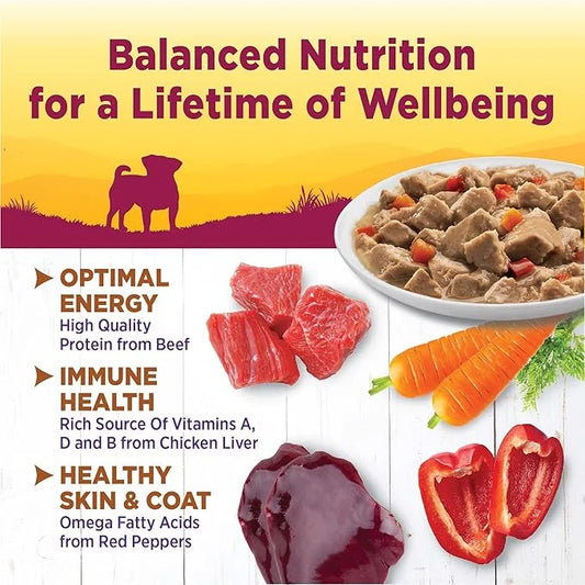 Wellness Petite Entrees Mini Fillets Grain Free Natural Wet Small Breed Dog Food, Roasted Beef, Carrots & Red Peppers, 3-O...
