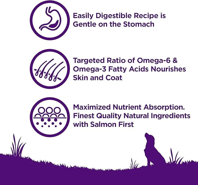 Wellness Complete Health Senstive Skin & Stomach Natural Adult Dry Dog Food, Salmon and Rice Recipe, 24 Pound Bag - Produc...