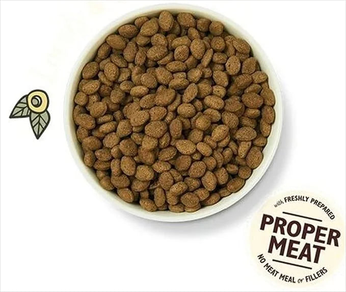 Lily's Kitchen Dog Food Grain Free Lamb 1Kg - Product Image