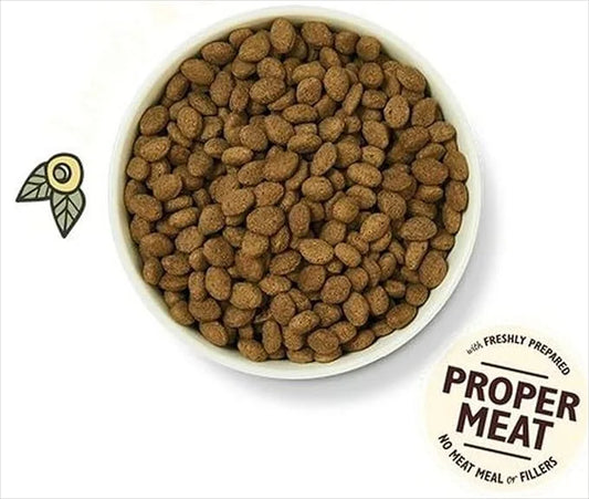 Lily's Kitchen Dog Food Grain Free Lamb 1Kg - Product Image