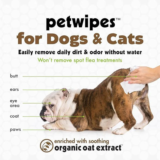 Petkin Mega Valu-Pak Pet Wipes, 500 Total Wipes - Oatmeal Pet Wipes for Dogs and Cats - for Face, Paws, Ears, and Body - S...