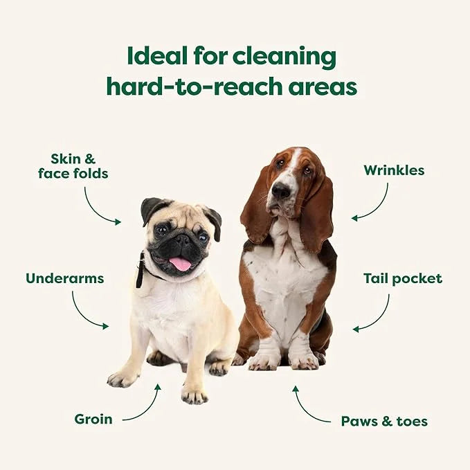 Earth Rated Wrinkle Wipes for Dogs, Perfect for Bulldogs and Pugs, to Cleanse Wrinkles and Folds, Wild Oat Scent, 60 Count...