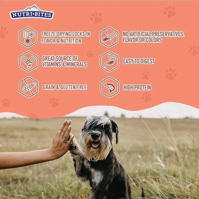 Nutri Bites Freeze Dried Salmon Dog & Cat Treats 4 oz | Healthy Pet Training Treats or Food Topper | All Natural, 1 Single...