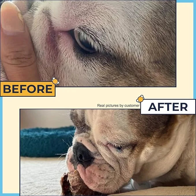 Wrinkle Paste for Bulldogs + Wrinkle Wipes French Bulldog- Wrinkle Cream for Dogs (Frenchie, English Bulldog, Pug)-Cleans ...