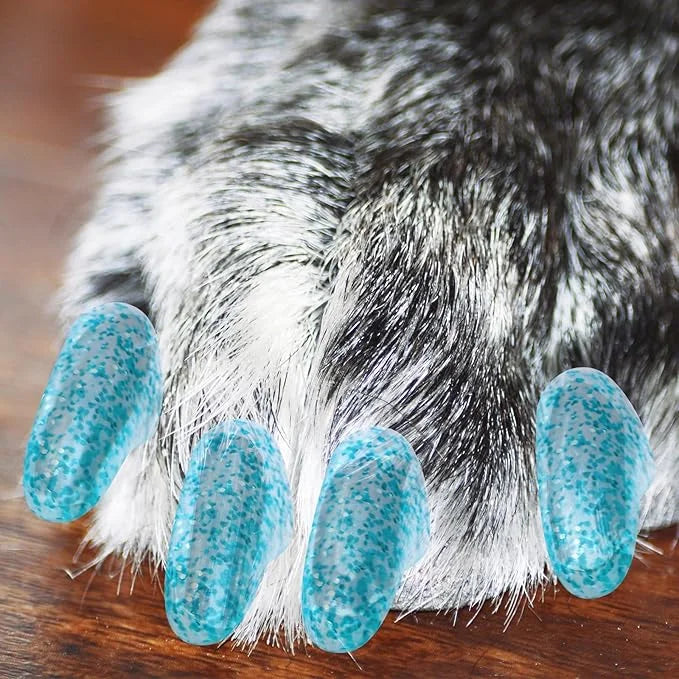 100pcs Dog Nail Caps Claw capsCover with Glue and Applicators (XXL: About. Weight: 40-70 pounds.) - Product Image