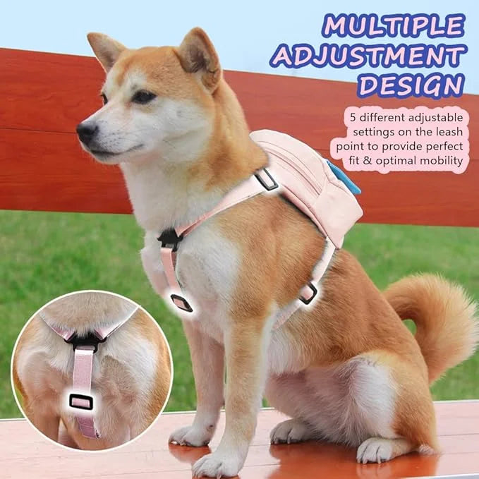 Dog Backpack for Small Dogs to Wear,Cute Pet Puppy Harness Backpacks with Leash Adjustable Dog Self Carrier Bag for Travel...