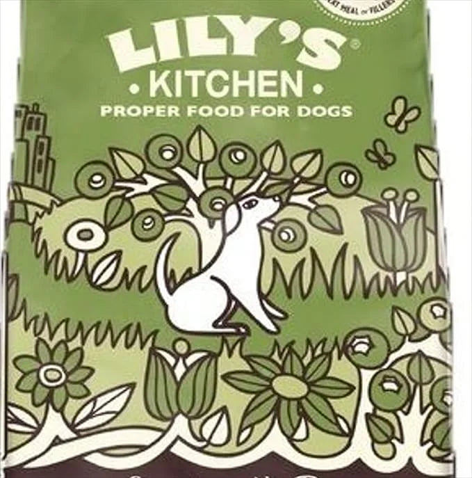 Lily's Kitchen Dog Food Grain Free Lamb 1Kg - Product Image