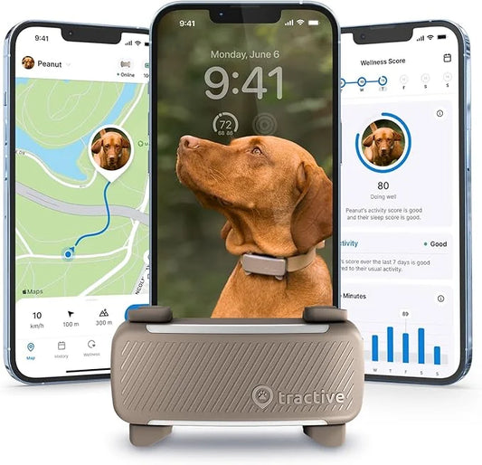 Tractive GPS Dog Tracker (2025 Release) | Real-time Pet Location Tracker | Health & Wellness Alerts | Virtual Fence for Do...