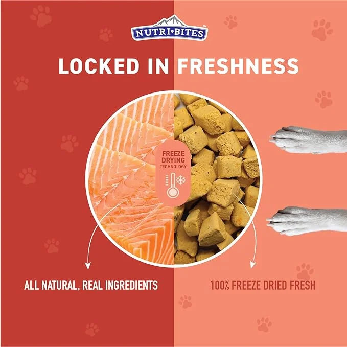 Nutri Bites Freeze Dried Salmon Dog & Cat Treats 4 oz | Healthy Pet Training Treats or Food Topper | All Natural, 1 Single...