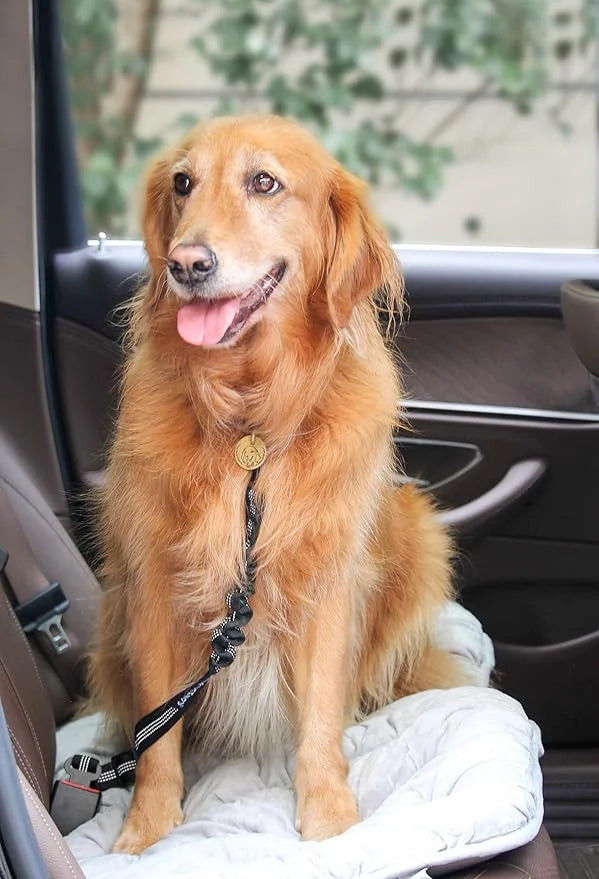 2 Pack Dog Seat Belt Adjustable Dog Car Seatbelts for Vehicle Nylon Pet Safety Seat Belt with Elastic Bungee Buffer Reflec...
