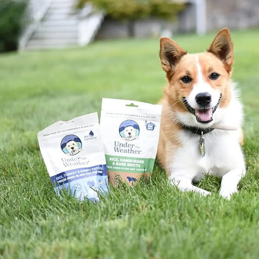 Under the Weather Bland Diet for Dogs | Easy to Digest for Sick Dogs | Always Be Ready | Contains Electrolytes - All Natur...