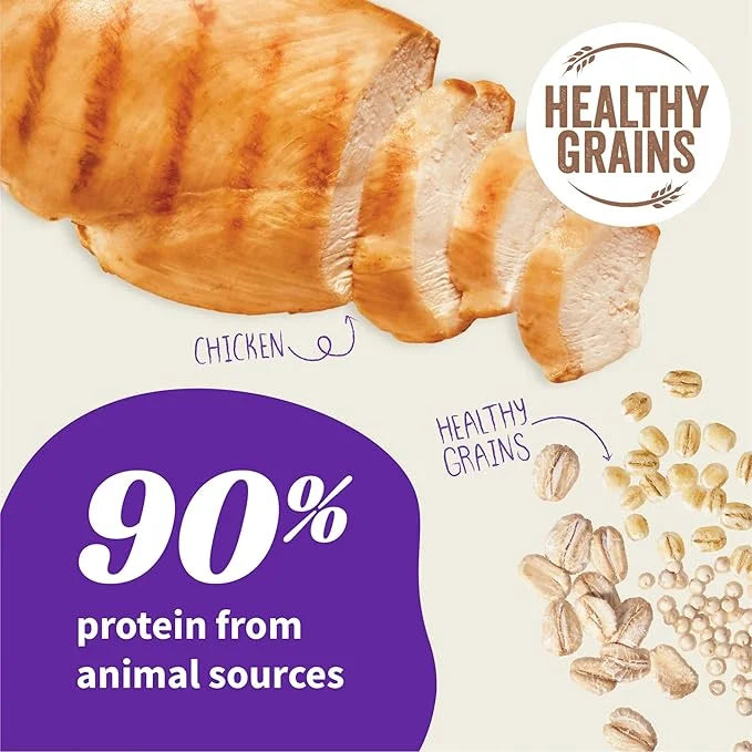 Halo Elevate Dry Dog Food, Healthy Grains Chicken Recipe, 20lb - Product Image