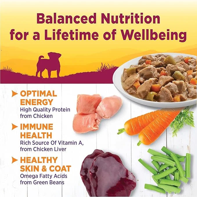 Wellness Petite Entrées Mini-Filets with Roasted Chicken, Beef, Carrots & Green Beans in Gravy, 3-Ounce Cup (Pack of 12) -...
