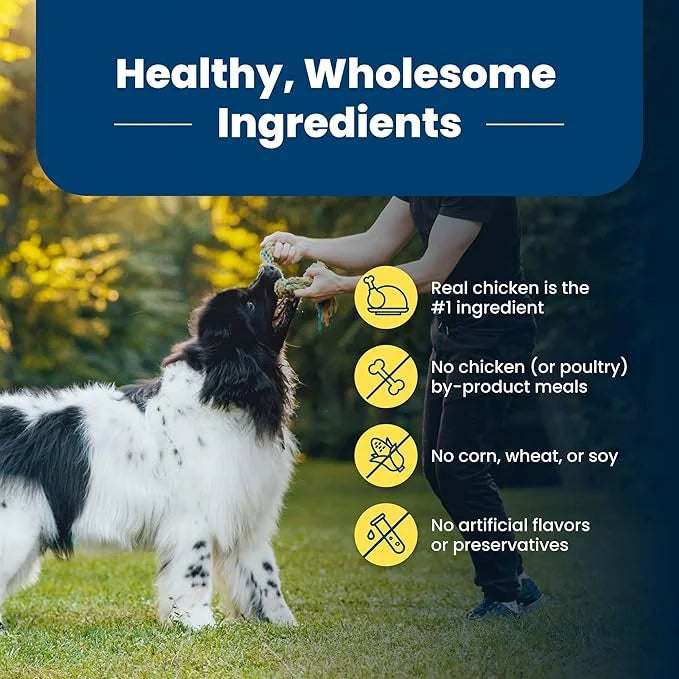 Blue Buffalo Life Protection Formula Healthy Weight Adult Dry Dog Food, Supports an Ideal Weight, Made with Natural Ingred...