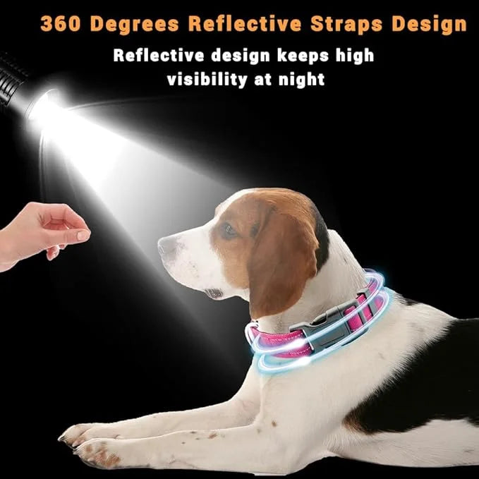 2 Pack Reflective Dog Collar with Safety Locking Buckle, Adjustable Soft Breathable Comfortable Nylon Pet Collar for Small...