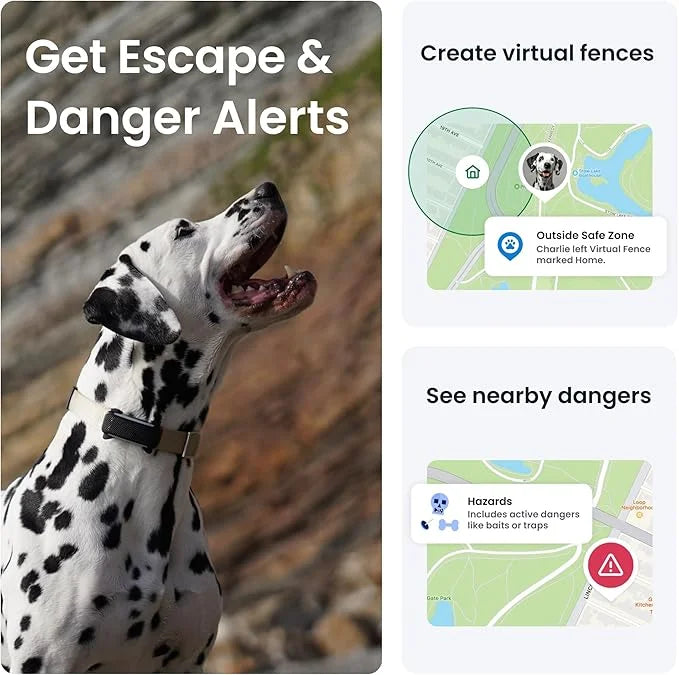 Tractive GPS Dog Tracker (2025 Release) | Real-time Pet Location Tracker | Health & Wellness Alerts | Virtual Fence for Do...