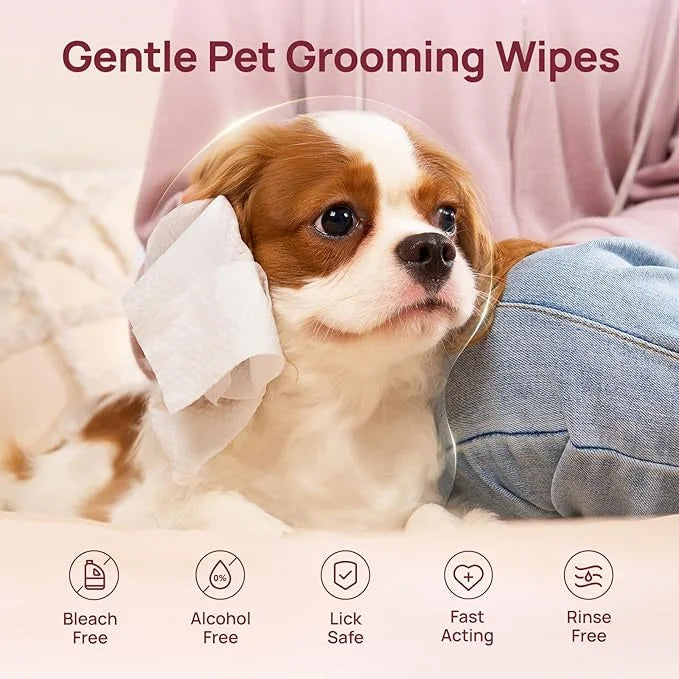 HICC PET Cleaning Deodorizing Wipes for Dogs & Cats, Vet Recommended Nourishes Smoothes Fur Pet Grooming Wipes with Fermen...