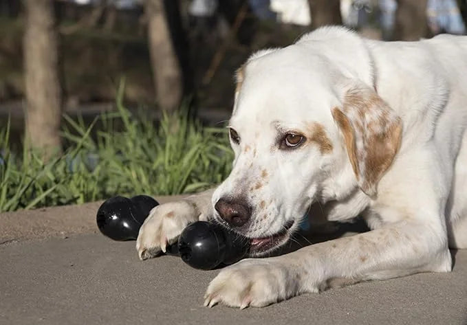 KONG - Extreme Goodie Bone - KONG's Most Durable Natural Rubber Dog Bone for Power Chewers - Black - For Large Dogs - Prod...