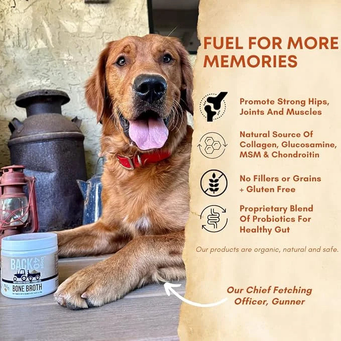 Grass-Fed Beef Bone Broth Powder for Dogs with Probiotics, Chondroitin & Glucosamine – Supports Gut Health, Joint & Immune...