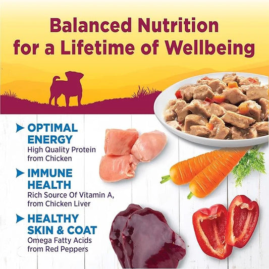 Wellness Natural Pet Food Petite Entrees Mini Fillets Grain Free Natural Wet Small Breed Dog Food, Roasted Chicken, Carrot...