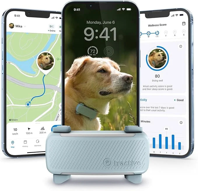 Tractive GPS Dog Tracker (2025 Release) | Real-time Pet Location Tracker | Health & Wellness Alerts | Virtual Fence for Do...
