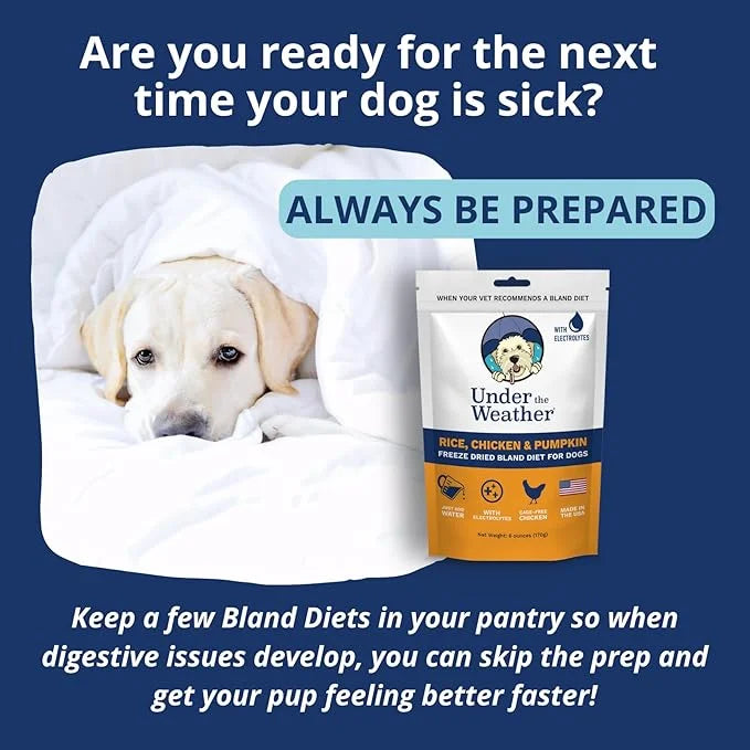 Under the Weather Bland Diet for Dogs | Easy to Digest for Sick Dogs |Always Be Ready | Contains Electrolytes - All Natura...