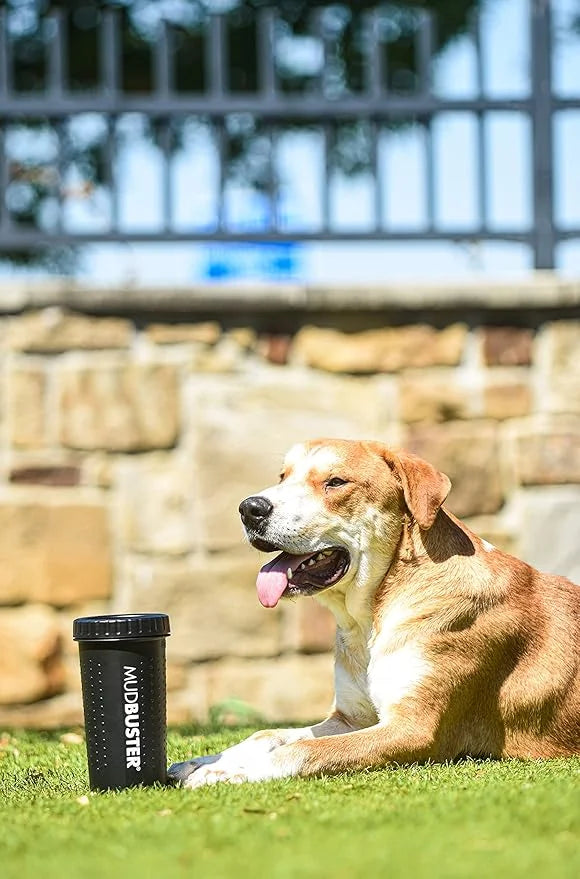 Dexas MudBuster Portable Dog Paw Washer/Paw Cleaner, Large, Matte Black- Special Edition (PW72025-22WP) - Product Image