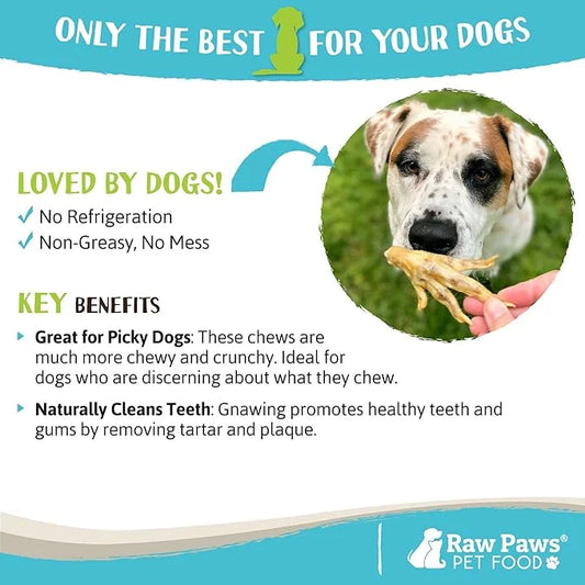 Raw Paws Dried Chicken Feet for Dogs (10 Pack) - Packed in USA - 100% Digestible, Single Ingredient - Chicken Feet Dog Tre...