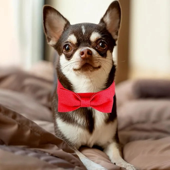 Segarty Dog Bow Ties for Small Medium Dogs, Adjustable Red Bowtie Collar, Durable Cat Neck Tie Tuxedo Comfortable Cotton G...