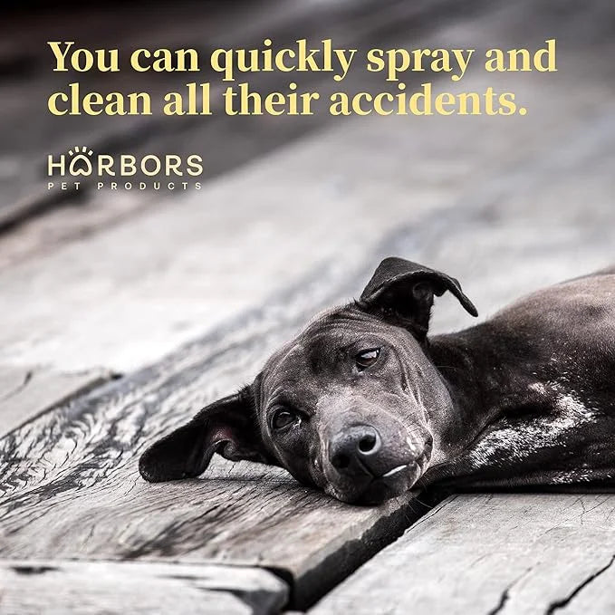 Harbor's Orange Deodorizer and Pet Stench Eliminator. Removes Dog & Cat Urine. Cleans Rugs, Furniture, and Mattresses with...