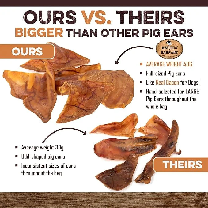 100% Natural Whole Pig Ear Dog Treat - 12 Pack Our Healthy Pig Ears Are Easy To Digest, Chemical & Hormone Free Thick Cut ...