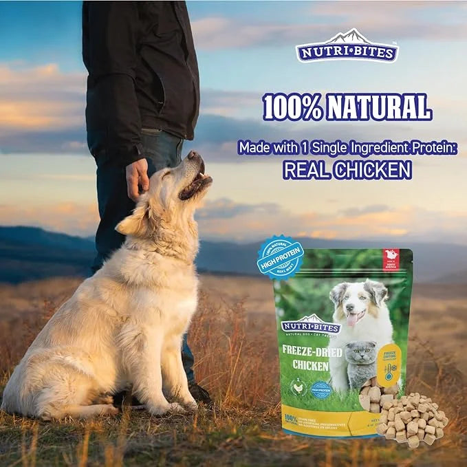 Nutri Bites Freeze Dried Chicken Dog & Cat Treats, 9 oz | Healthy Pet Training Treats or Food Topper | All Natural, 1 Sing...