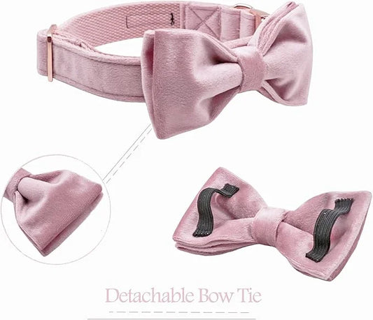 ARING PET Velvet Dog Collars with Bow tie, Bowtie Dog Collar, Cute Pink Collar for Girl and Boy Dogs,X-Large. - Product Image